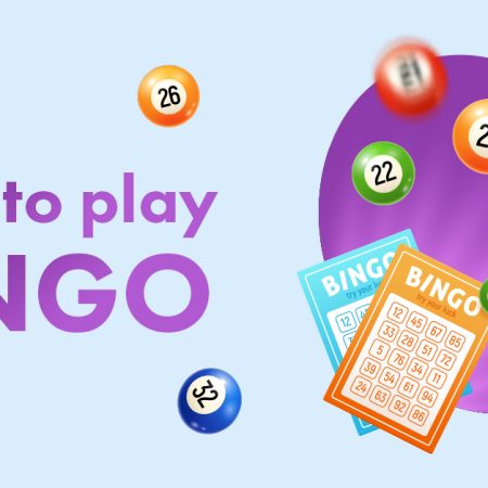 How to Play Bingo Guide