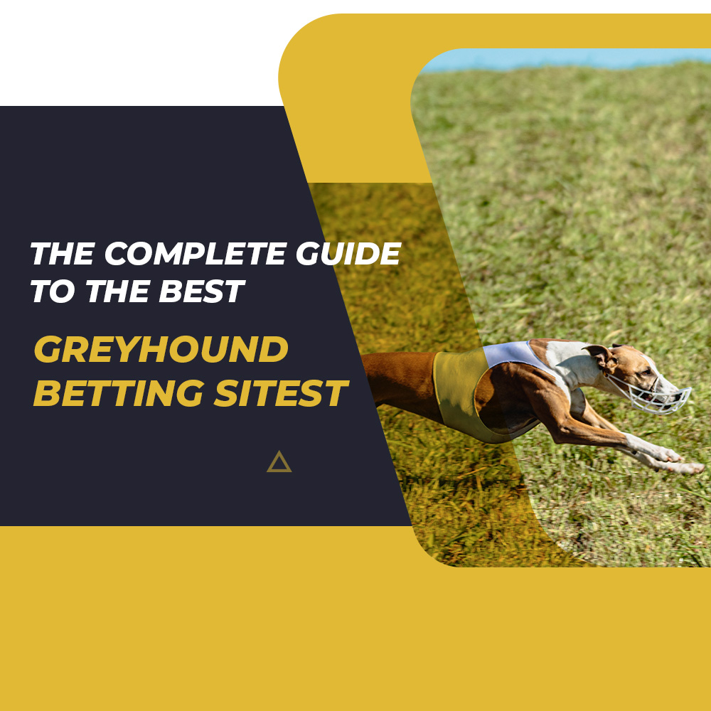 Greyhound Betting Sites