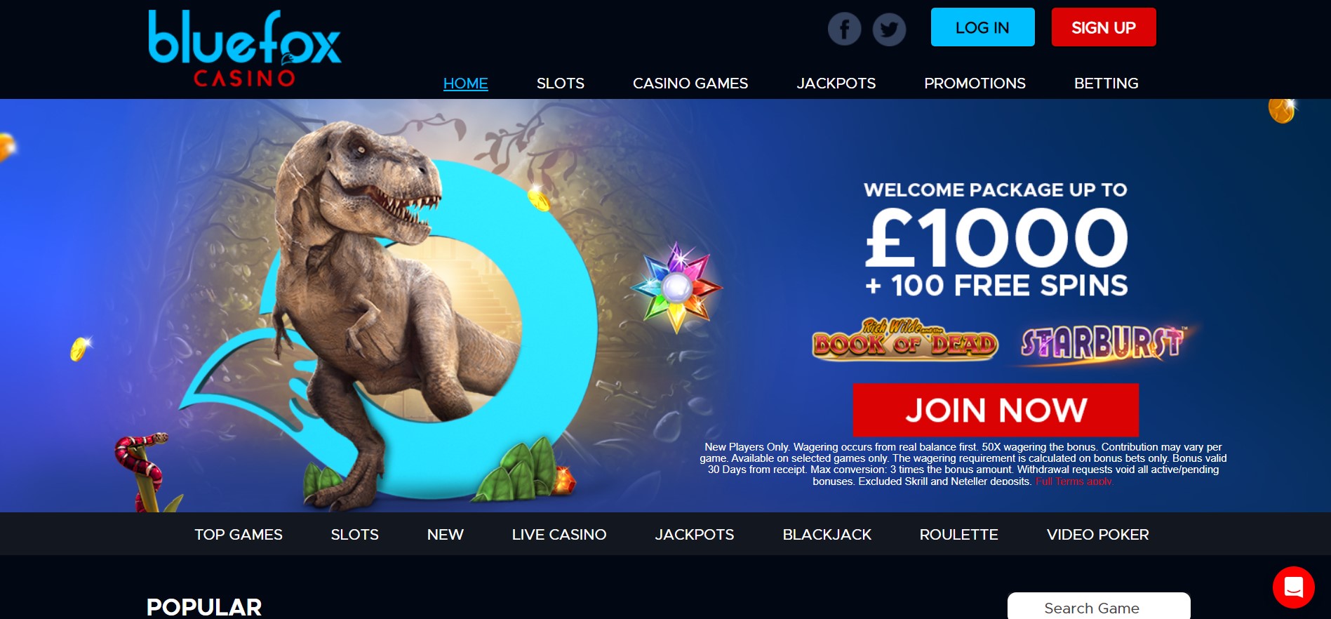 BlueFox Casino Review